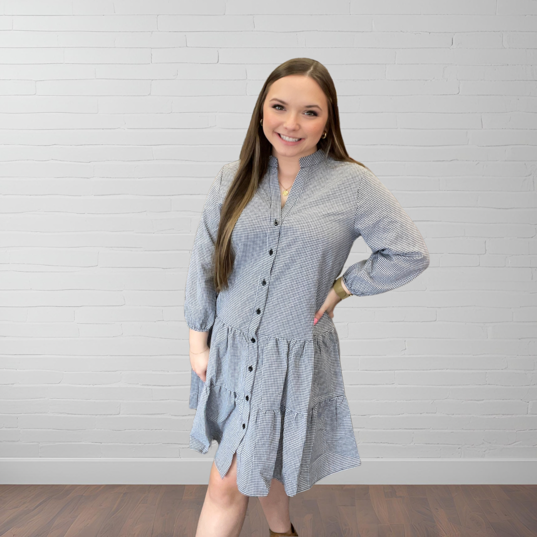 Closet Classic Gingham Dress