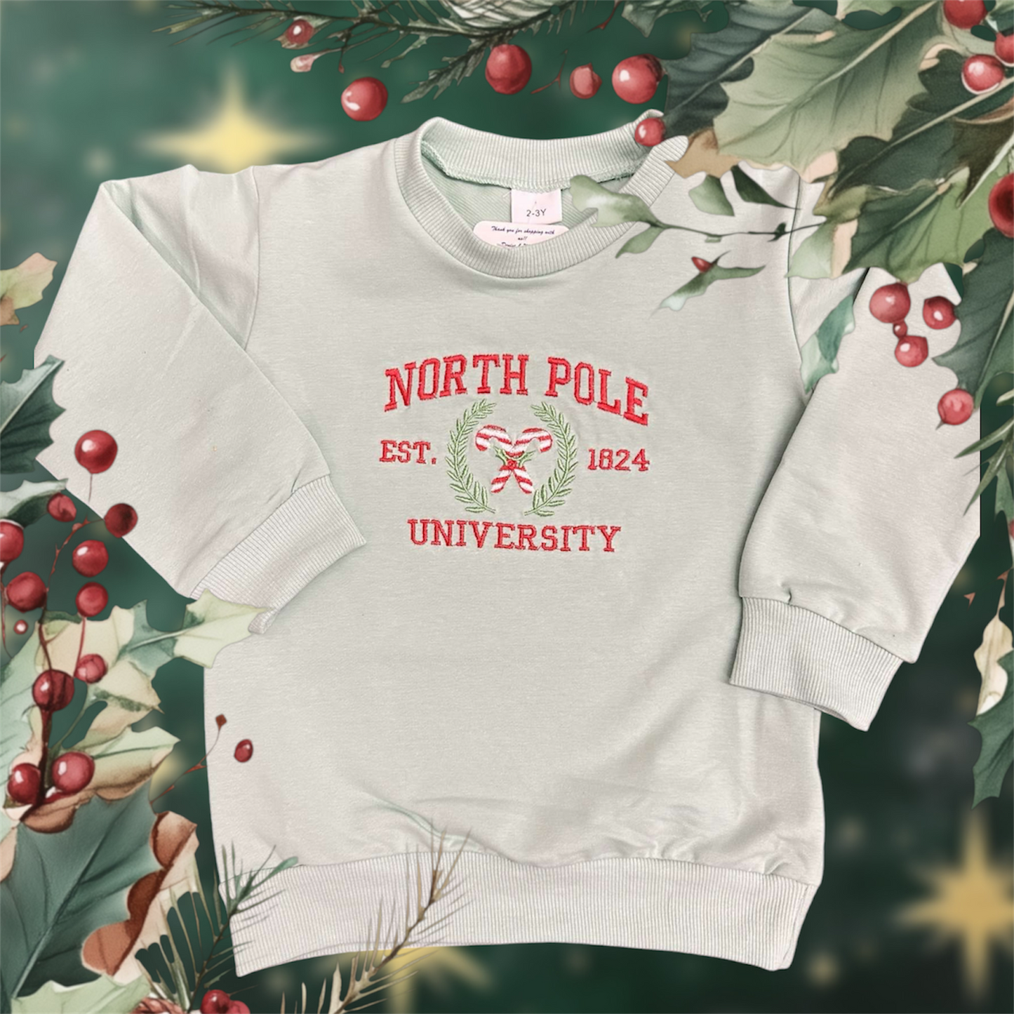 North Pole University Crewneck