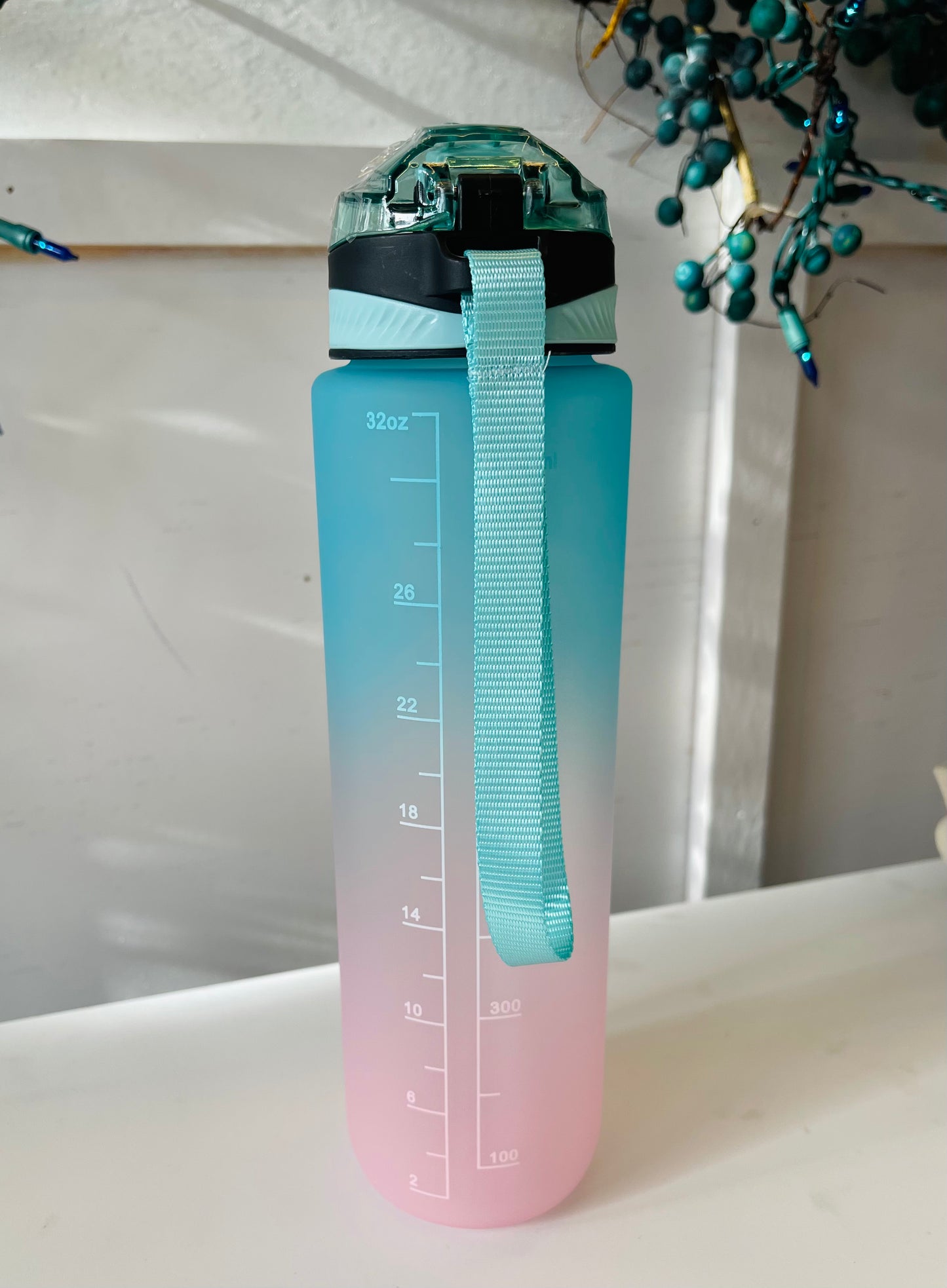 Pink & Blue Motivational Water Bottle