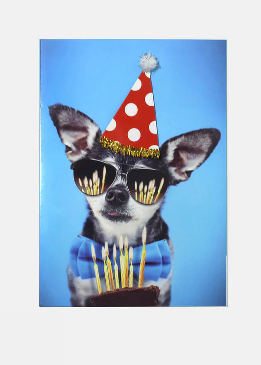 Cutest Dog Birthday Greeting Card