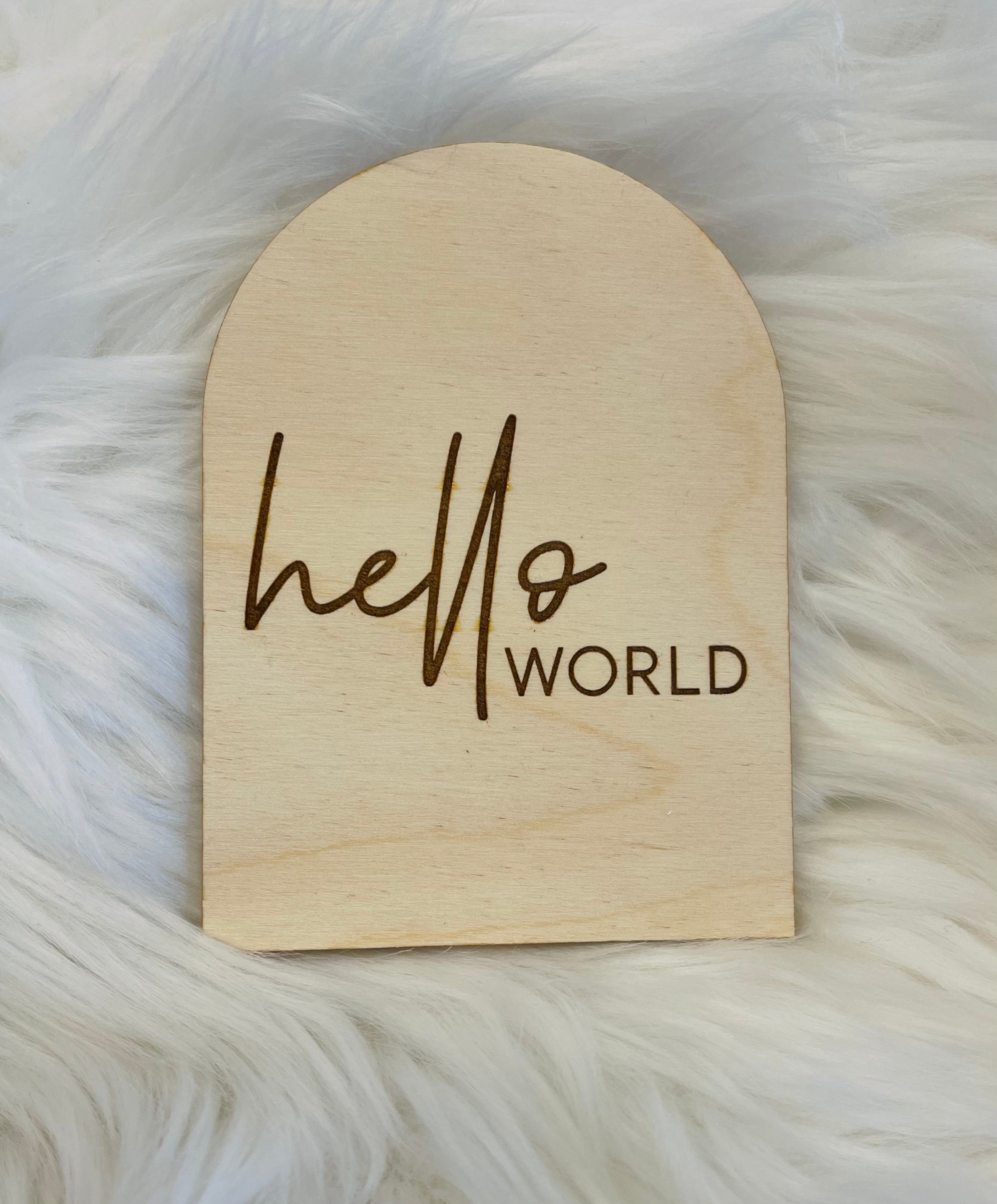 Hello World Birth Announcement Sign