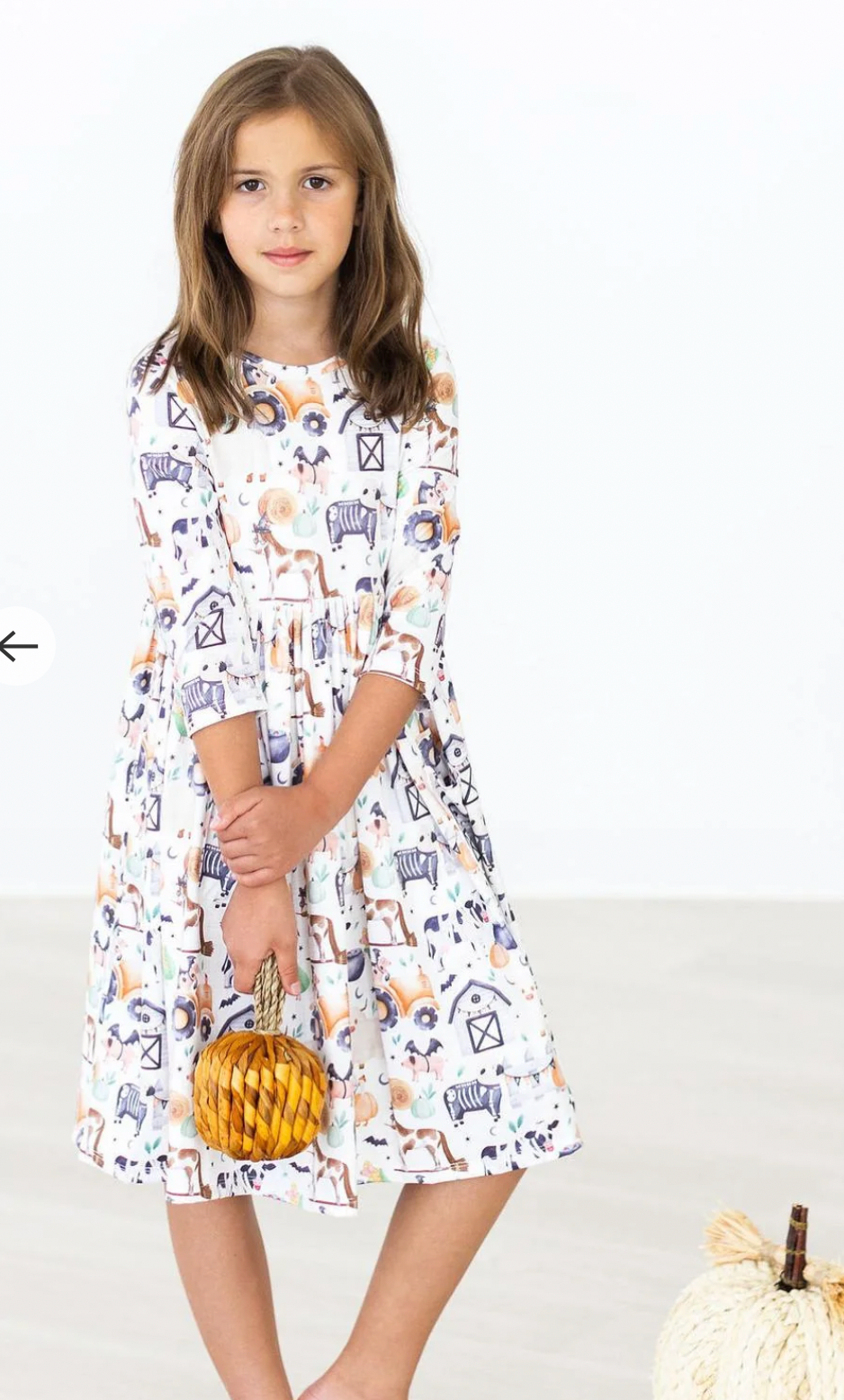 Spooky Farm Pocket Twirl Dress