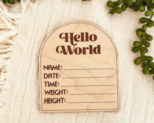 Hello World Birth Announcement Sign