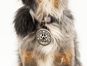 Beer Paws Dog Collar Bottle Opener