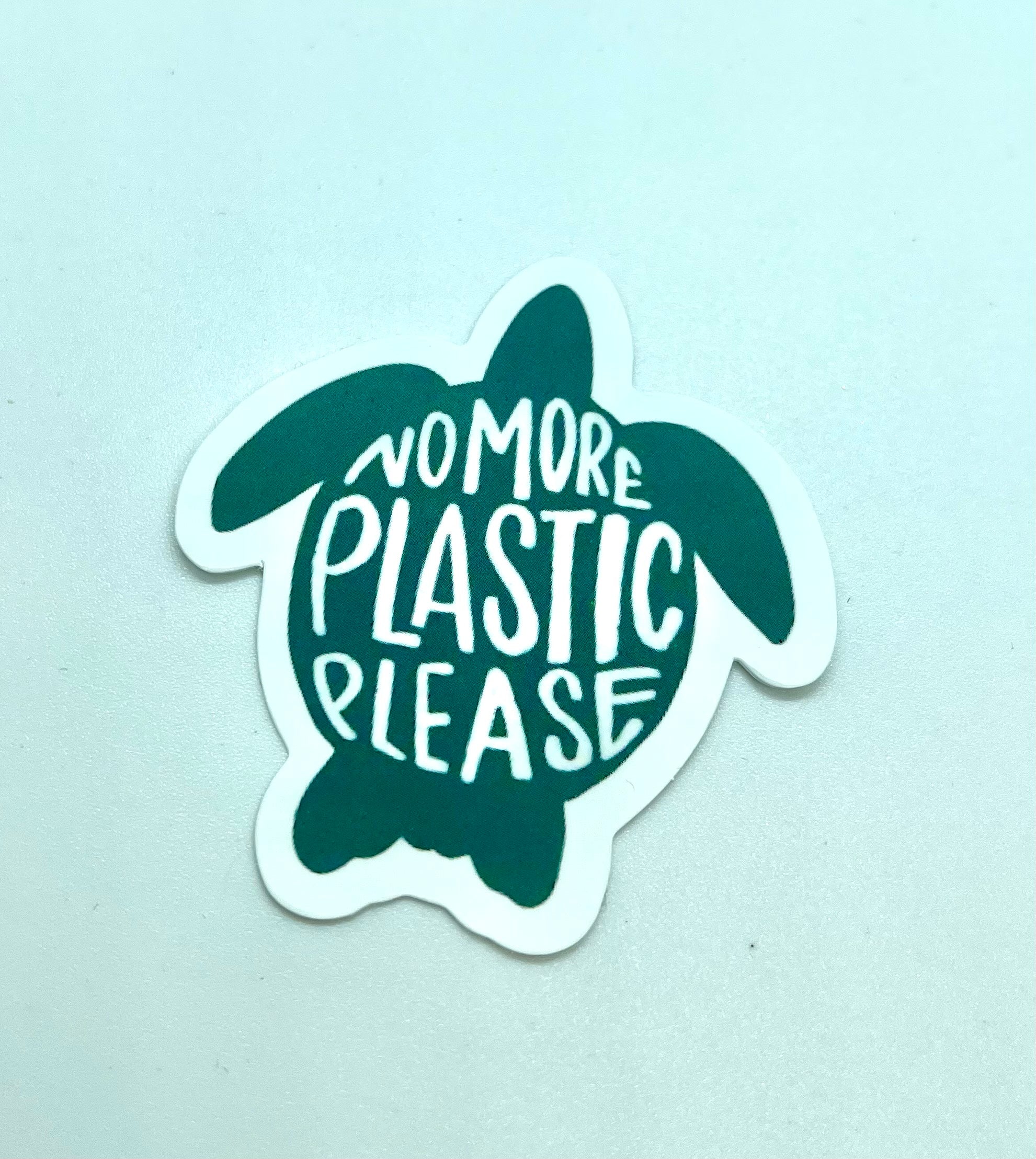No More Plastic Please Turtle